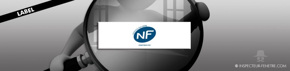 nf bleu logo rectangle blanc fenêtre